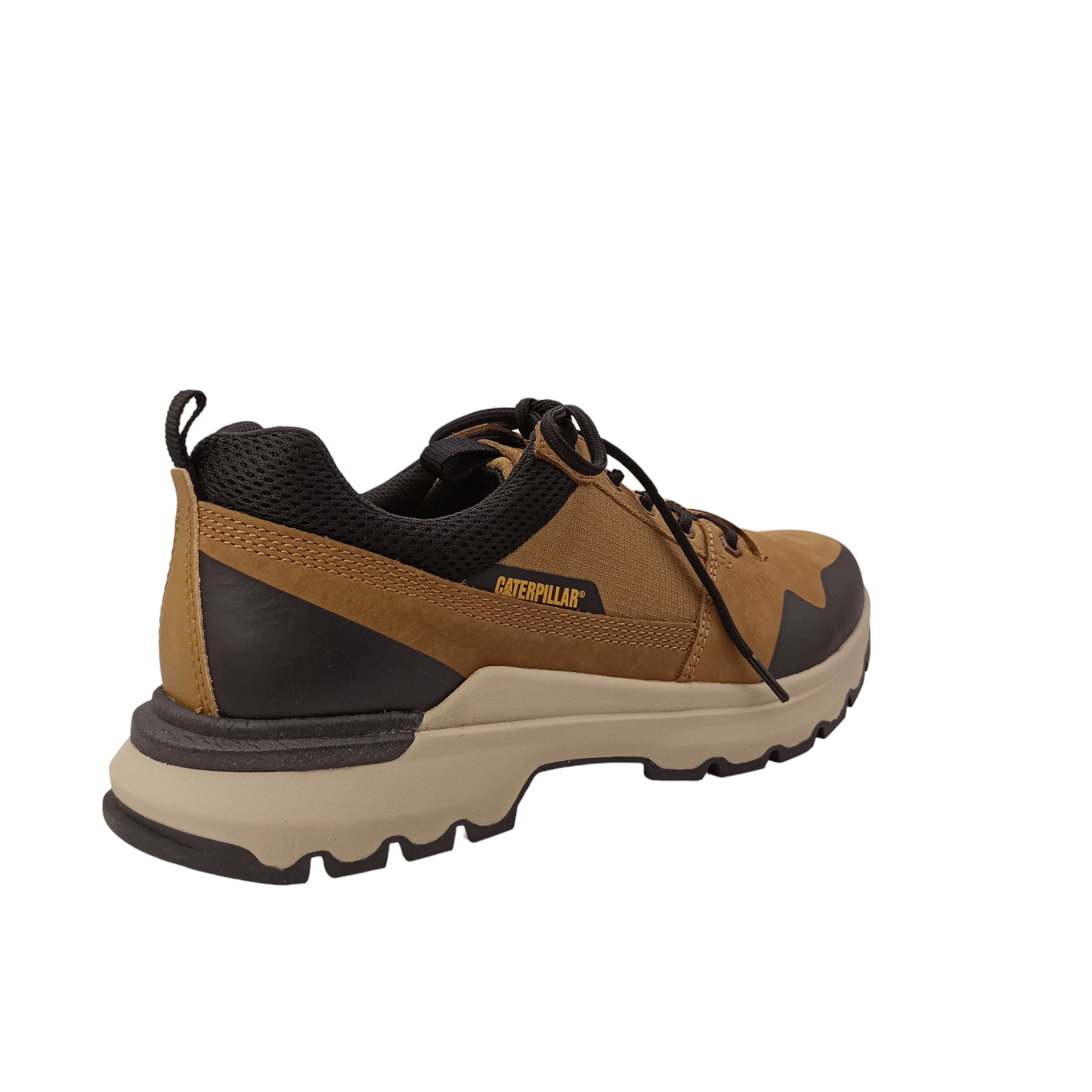 Shop Colorado Lo Caterpillar - with shoe&amp;me - from Caterpillar - Sneakers - Mens, Sneaker, Winter - [collection]