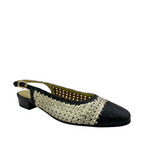 marco d'alessi odissi