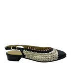 marco d'alessi odissi