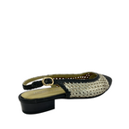 marco d'alessi odissi