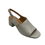 belle scarpe rayel