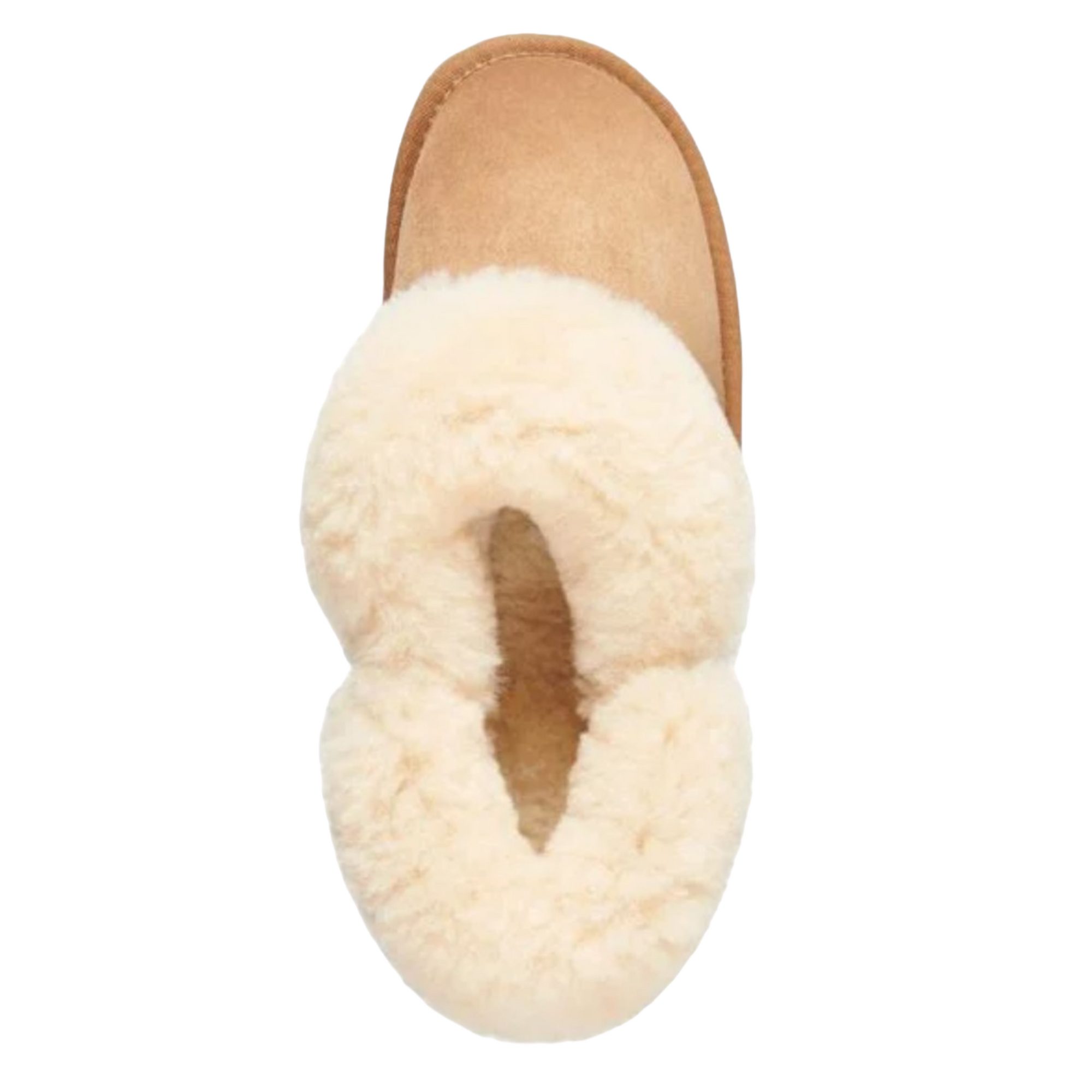 Mintaro - shoe&amp;me - EMU - Slipper - Slipper, Winter, Womens