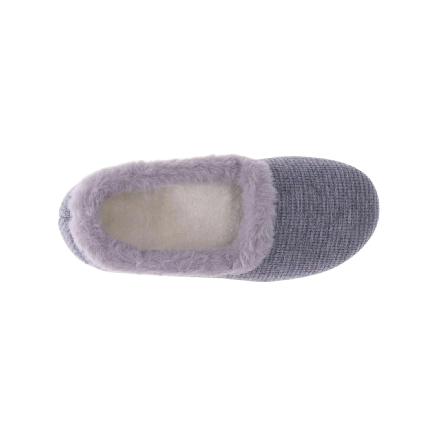 scholl softy